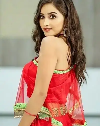 Call Girls Service Mehdipatnam